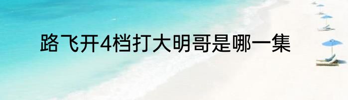 路飞开4档打大明哥是哪一集