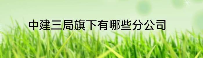 中建三局旗下有哪些分公司