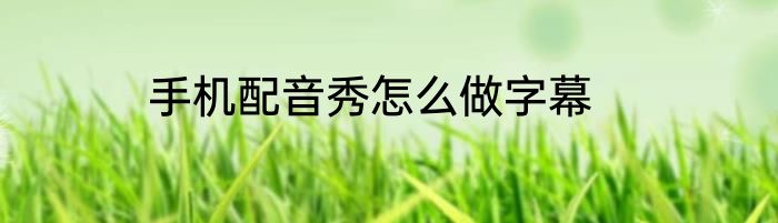 手机配音秀怎么做字幕