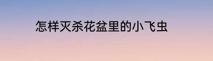 怎样灭杀花盆里的小飞虫