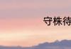 守株待兔打一生肖