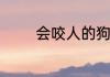 会咬人的狗不叫是什么意思