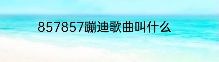 857857蹦迪歌曲叫什么