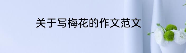 关于写梅花的作文范文