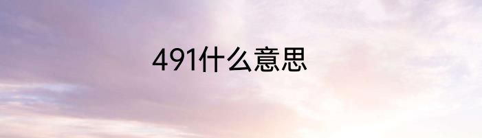 491什么意思