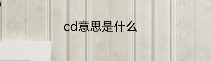 cd意思是什么