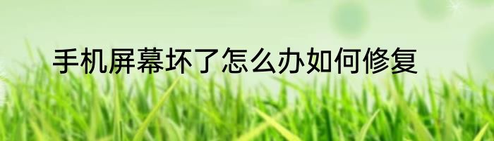 手机屏幕坏了怎么办如何修复