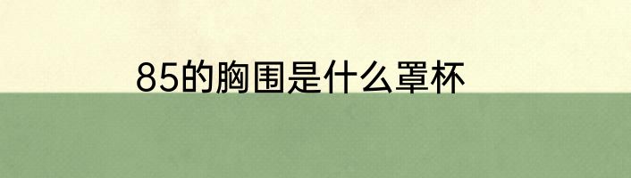 85的胸围是什么罩杯