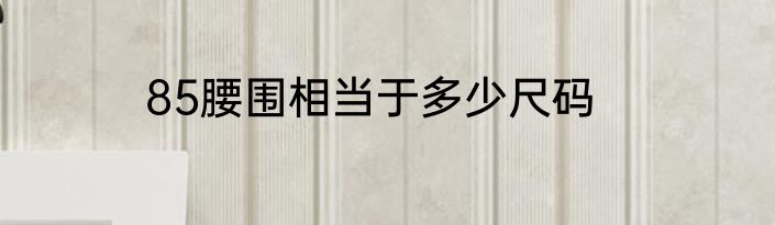 85腰围相当于多少尺码