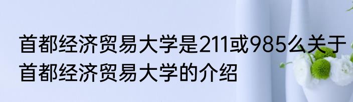 首都经济贸易大学是211或985么关于首都经济贸易大学的介绍