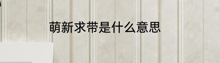 萌新求带是什么意思