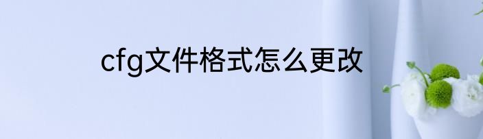 cfg文件格式怎么更改