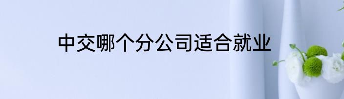 中交哪个分公司适合就业