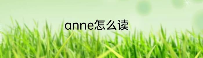 anne怎么读