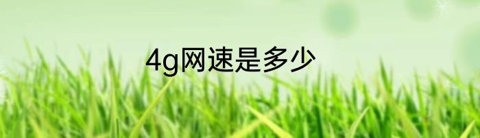4g网速是多少
