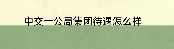 中交一公局集团待遇怎么样