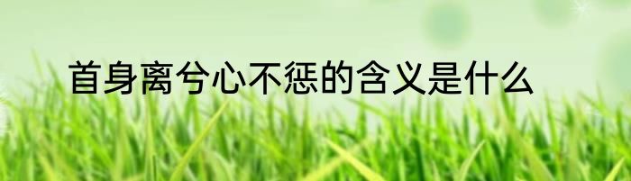 首身离兮心不惩的含义是什么