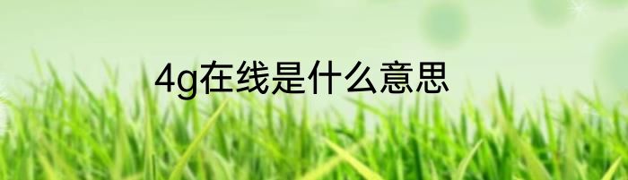 4g在线是什么意思