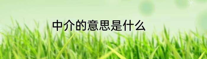 中介的意思是什么