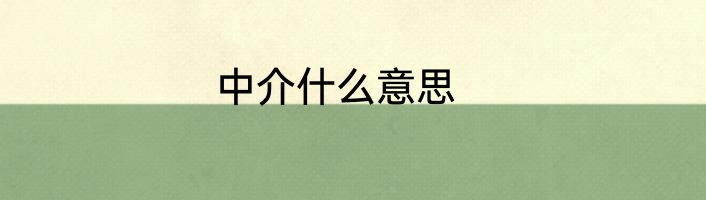 中介什么意思