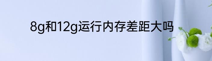 8g和12g运行内存差距大吗
