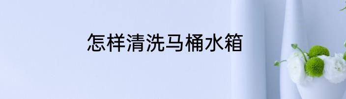 怎样清洗马桶水箱