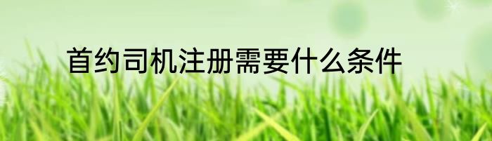 首约司机注册需要什么条件