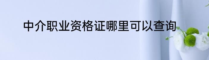 中介职业资格证哪里可以查询