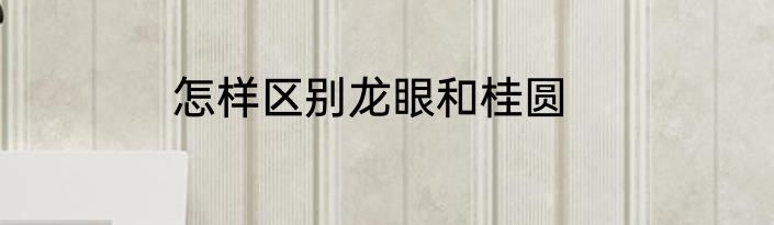 怎样区别龙眼和桂圆