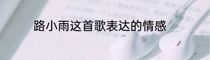 路小雨这首歌表达的情感