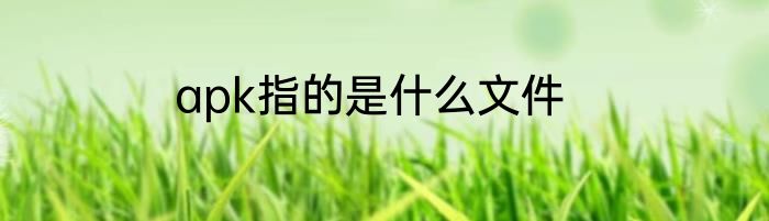 apk指的是什么文件