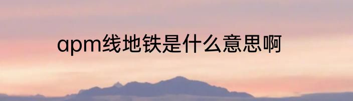 apm线地铁是什么意思啊