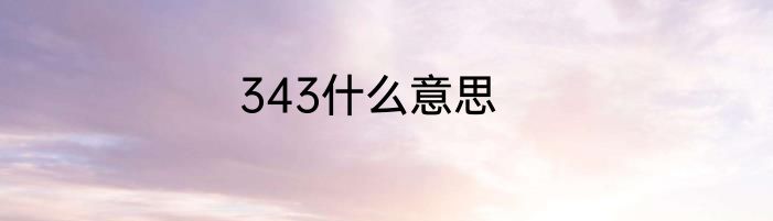 343什么意思