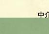 中介什么意思