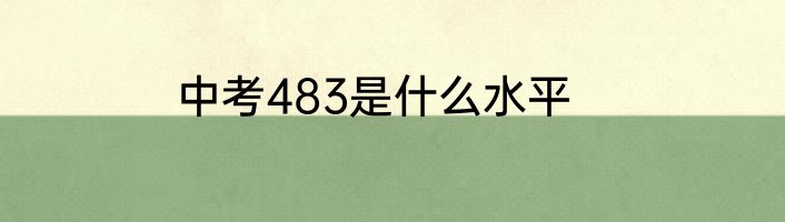 中考483是什么水平