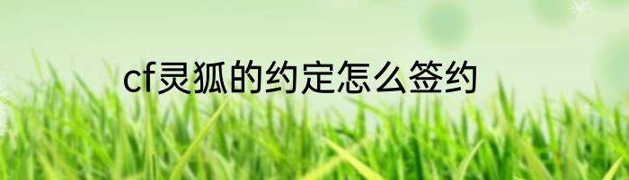 cf灵狐的约定怎么签约