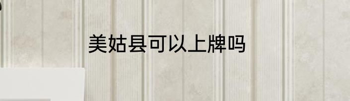 美姑县可以上牌吗