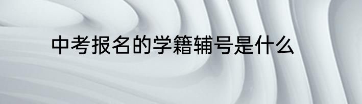 中考报名的学籍辅号是什么