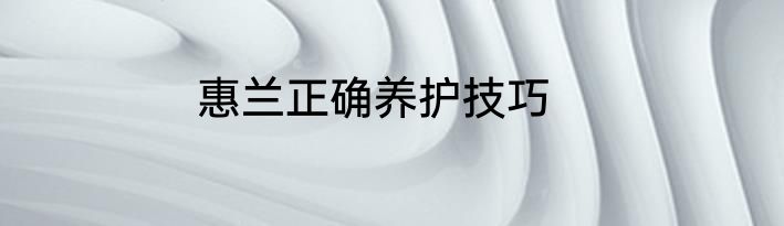 惠兰正确养护技巧
