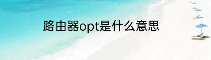 路由器opt是什么意思
