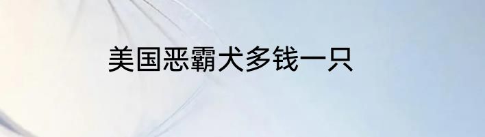 美国恶霸犬多钱一只