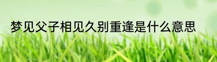 梦见父子相见久别重逢是什么意思