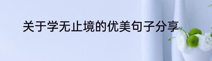 关于学无止境的优美句子分享
