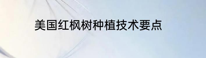 美国红枫树种植技术要点