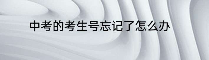 中考的考生号忘记了怎么办