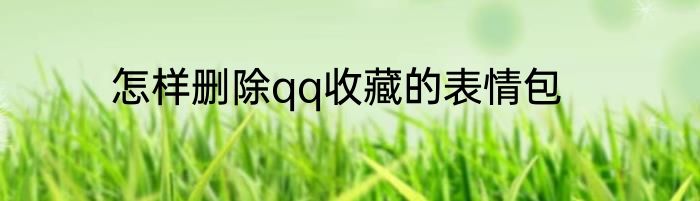 怎样删除qq收藏的表情包