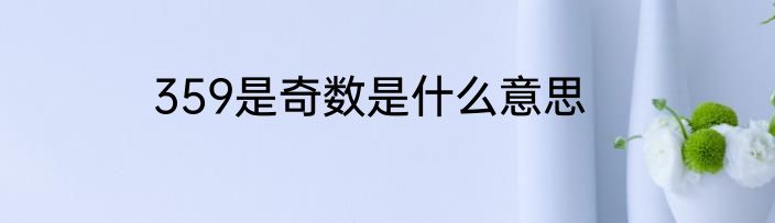 359是奇数是什么意思