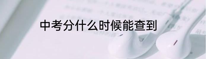 中考分什么时候能查到