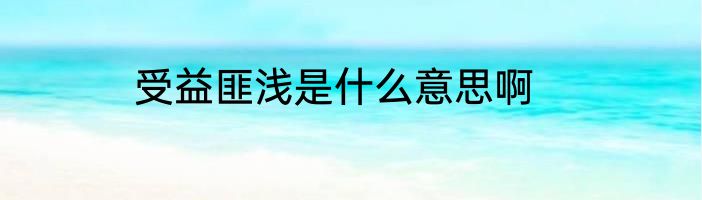 受益匪浅是什么意思啊