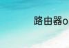 路由器opt是什么意思